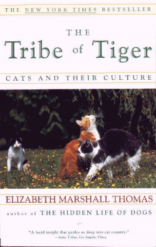 The Tribe of Tiger